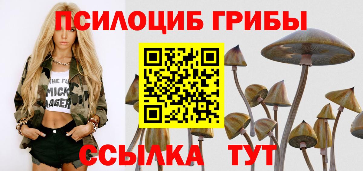 Галлюциногенные грибы мицелий Ступино